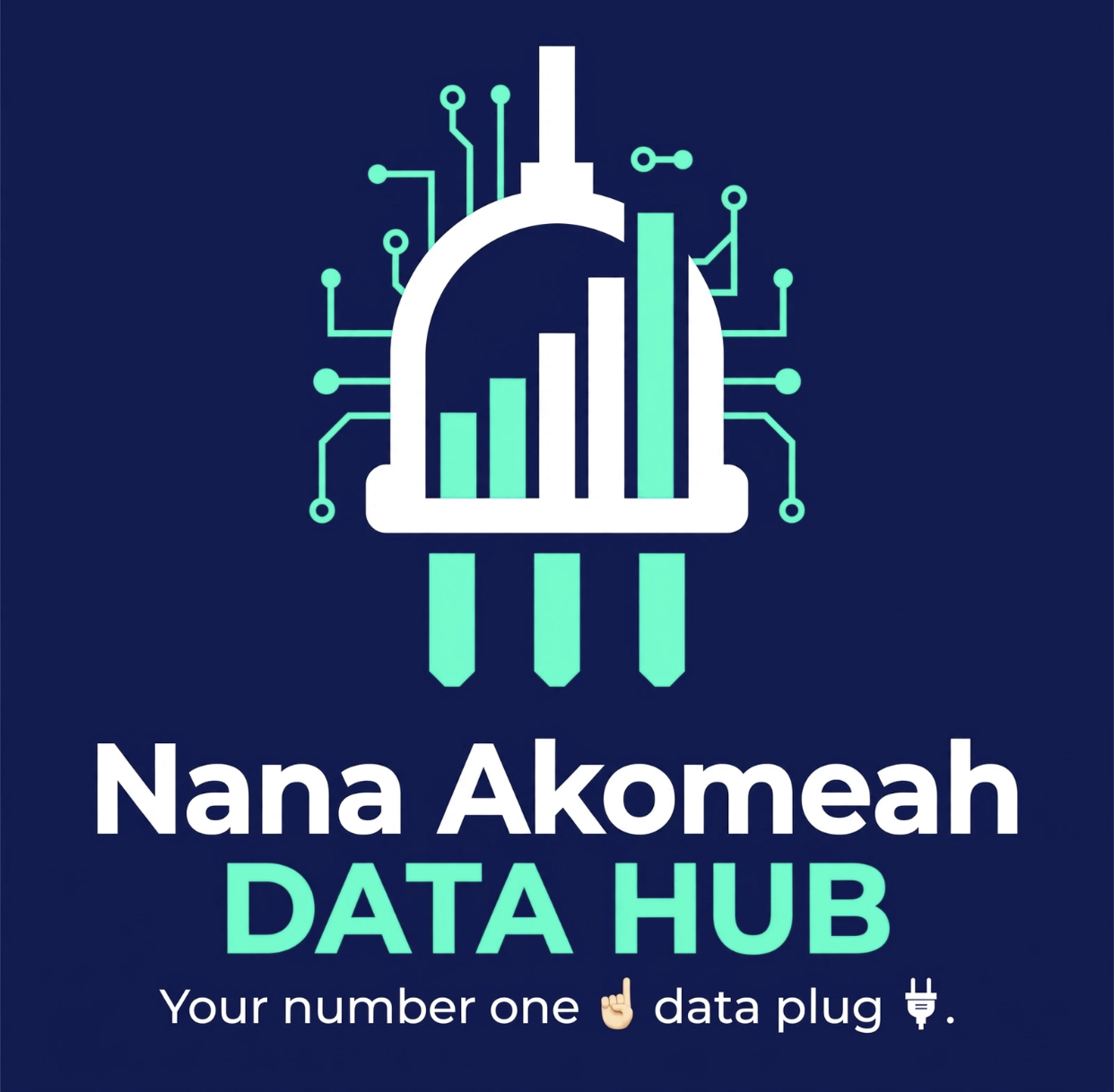 Nana Akomeah Data Hub